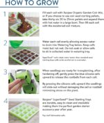 Burpee SuperSeed Seed Starting Tray | 36 Cell Reusable Seed Starter Tray | for Starting Vegetable, Flower & Herb Seeds | Indoor Grow Kit for Plant Seedlings | for Germination Success - Image 5