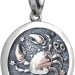 Zodiac Sign Pendant Necklace 925 Sterling Silver Horoscope Medallion Coin Disc Choker Charm Constellation Astrology Jewelry for Men Women