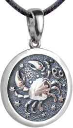 Zodiac Sign Pendant Necklace 925 Sterling Silver Horoscope Medallion Coin Disc Choker Charm Constellation Astrology Jewelry for Men Women
