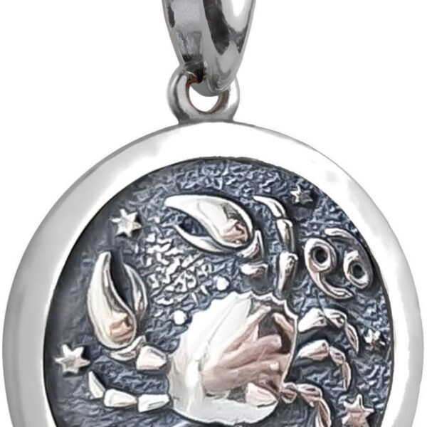 Zodiac Sign Pendant Necklace 925 Sterling Silver Horoscope Medallion Coin Disc Choker Charm Constellation Astrology Jewelry for Men Women