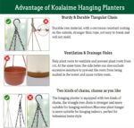 Hanging Planter Self Watering 10 Inch, 2 Pack Indoor Outdoor Hanging Baskets, Hanging Flower Pots with Drainage Hole & 2 Kinds of Plant Hangers for Garden Home Decor(Cream)… - Image 6