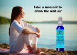 Mystic Angel Energy Shield Palo Santo & White Sage Smudge Spray (4 oz.) For Energy Clearing & Protection - Pack of 1 - Image 4