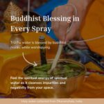 Buddha White Sage Spray Protection - Smudge Spray with Water Blessed by Buddhist Monks (1200+ Sprays) | Sage Spray for Cleansing Negative Energy and Protection | Salvia Blanca Para Limpiar (5.6 OZ) - Image 4