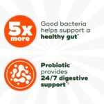 Align Probiotic Extra Strength, Probiotics for Women and Men, #1 Doctor Recommended Brand‡, 5X More Good Bacteria^ to Help Support a Healthy Digestive System*, 42 Capsules (Packaging May Vary) - Image 3