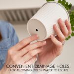 KIBAGA Beautiful Herb Garden Planter Indoor Set of 3 - Perfect for Any Kitchen Window Sill or Countertop - A Modern Decor Gardening Planter Kit Incl. Tray & Drainage Holes to Grow Fresh Herbs at Home - Image 5