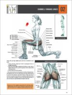 Strength Training Anatomy - Image 7
