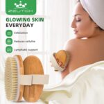 Premium Dry Brushing Body Brush Set for Lymphatic Drainage and Cellulite Treatment, Boar Bristle Long Handle Face Cleansing Brush for A Glowing Skin, 5 Pack - Image 3