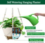 Hanging Planter Self Watering 10 Inch, 2 Pack Indoor Outdoor Hanging Baskets, Hanging Flower Pots with Drainage Hole & 2 Kinds of Plant Hangers for Garden Home Decor(Cream)… - Image 3