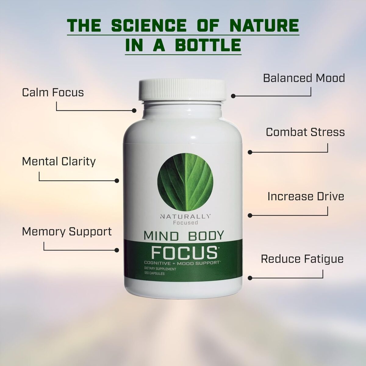 Mind Body Focus | Natural Nootropic Brain Supplement for Focus, Memory and Mood Support - Mental Clarity, Concentration and Cognitive Performance with Mucuna, Bacopa, Rhodiola, Phosphatidylcholine - Image 2