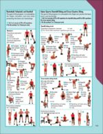 The Strength Training Anatomy Workout: Starting Strength with Bodyweight Training and Minimal Equipment - Image 5