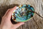 Abalone Shell Smudging Bowl Seashell Incense Burner, 5-6 Inches - Image 3
