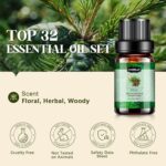 Essential Oils Set, Aromatherapy Essential Oil Kit for Diffuser, Humidifier, Massage, Skin Care (32 x 5ml) - Eucalyptus, Lavender, Tea Tree, Peppermint, Lemongrass, Frankincense, Cinnamon, Sandalwood - Image 2