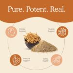 Real Mushrooms Cordyceps Capsules - Performance Mushroom Extract Supplement with Organic Militaris for Energy Immune Support Vegan Supplement, Non-GMO, 120 Caps - Image 4
