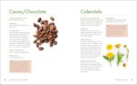 The Big Book of Herbal Medicine: 300 Natural Remedies for Health and Wellness - Image 8