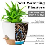 5Pack Self Watering Plant Pots for Lazy People, 7/6.5/6/5.5/5 Inch,White Plastic Self Watering Planter for All Houseplants,Succulent, African Violets,Snake Plants, Flowers and Cactus - Image 2