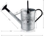 Galvanized Watering Can for Outdoor Indoor Plants, 1 Gallon Decorative Countryside Style Water Can with Removable Spout, Perfect Metal Watering Can for Indoor Plants and Garden Flower - Image 7