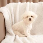 Snuggle Sac Buttery Ivory Throw Blanket for Couch, Reversible Super Soft Knitted Blankets, Warm Cozy Knit Fuzzy Plush Lightweight Throws Dupes for Sofa, Bed, Picnic, Ivory, 50 x 60 inches - Image 6