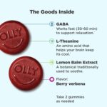 OLLY Goodbye Stress Gummy, GABA, L-Theanine, Lemon Balm, Stress Relief Supplement, Berry - 42 Count - Image 2