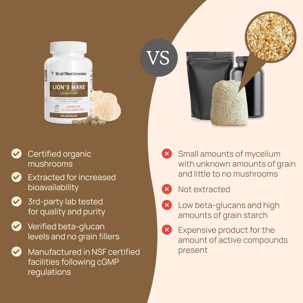 Lions Mane Mushroom Cognition Capsules (120 Capsules) Lions Mane Mushroom Powder Extract Capsules | Brain Supplement, Brain Vitamins, Focus Supplement - Image 3