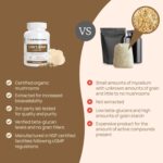 Lions Mane Mushroom Cognition Capsules (120 Capsules) Lions Mane Mushroom Powder Extract Capsules | Brain Supplement, Brain Vitamins, Focus Supplement - Image 3