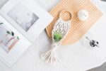 Melphoe 4 Pack Air Plants Holders Stand Air Fern Macrame Plant Hanger Indoor Hanging Planter Basket for Tillandsias Display, Boho Home Decoration Gift Idea - Image 3