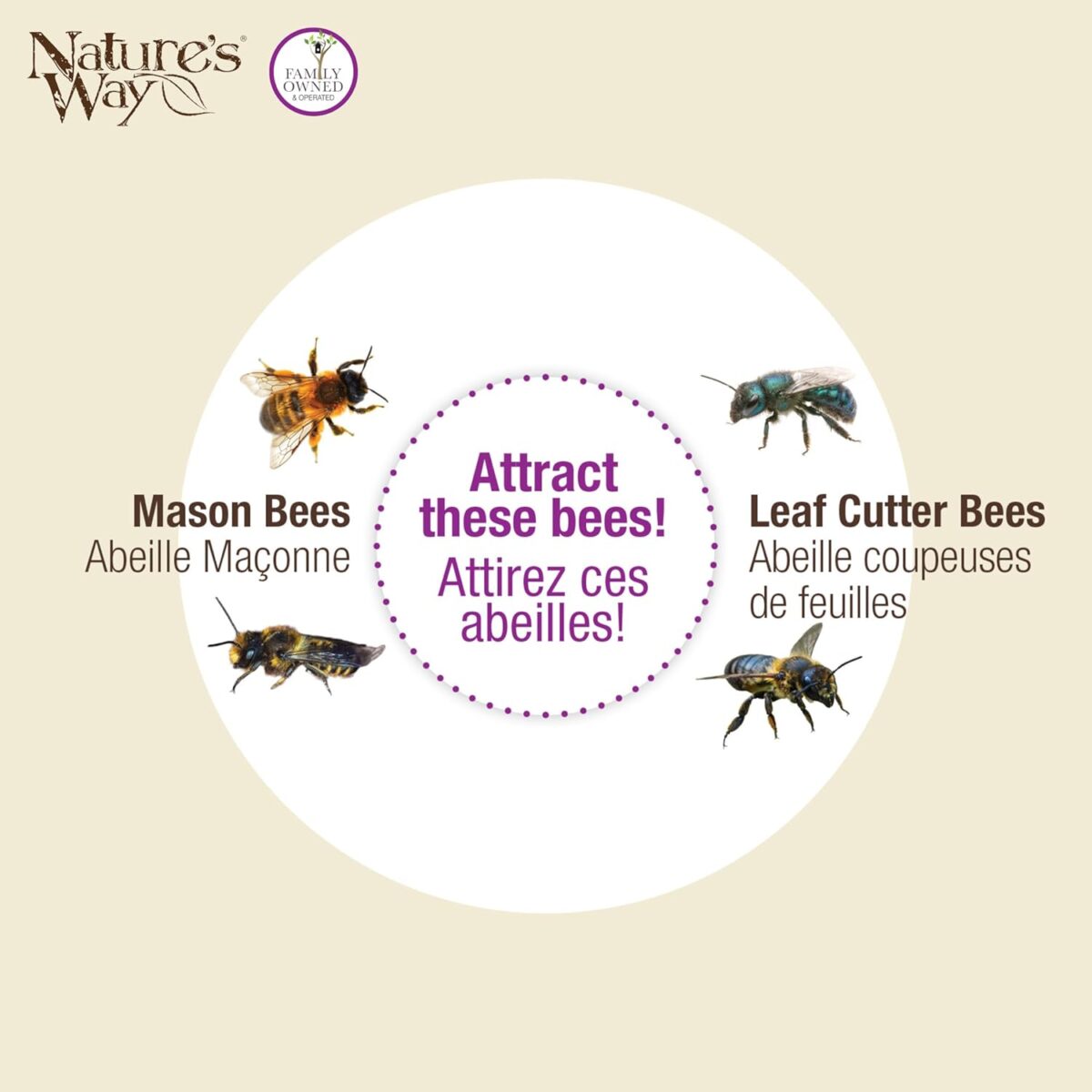 Nature's Way Bird Products PWH1-B Purple Bee House - Image 7