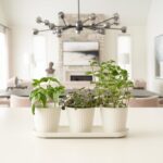 KIBAGA Beautiful Herb Garden Planter Indoor Set of 3 - Perfect for Any Kitchen Window Sill or Countertop - A Modern Decor Gardening Planter Kit Incl. Tray & Drainage Holes to Grow Fresh Herbs at Home - Image 6