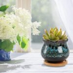 TOPZEA Set of 6 Succulent Plant Pots, 4 Inch Glazed Ceramic Cute Plant Pots with Drainage and Saucer, Mini Bonsai Planter Small Cactus Flower Pots for Indoor Outdoor Use - Image 5