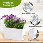Herb Garden Planter Indoor Kit Self Watering Pots for Indoor/Outdoor Plants 2 Packs Windowsill Plant Pots with Drainage and Tray, Window Pot for Indoor Plants - Image 3