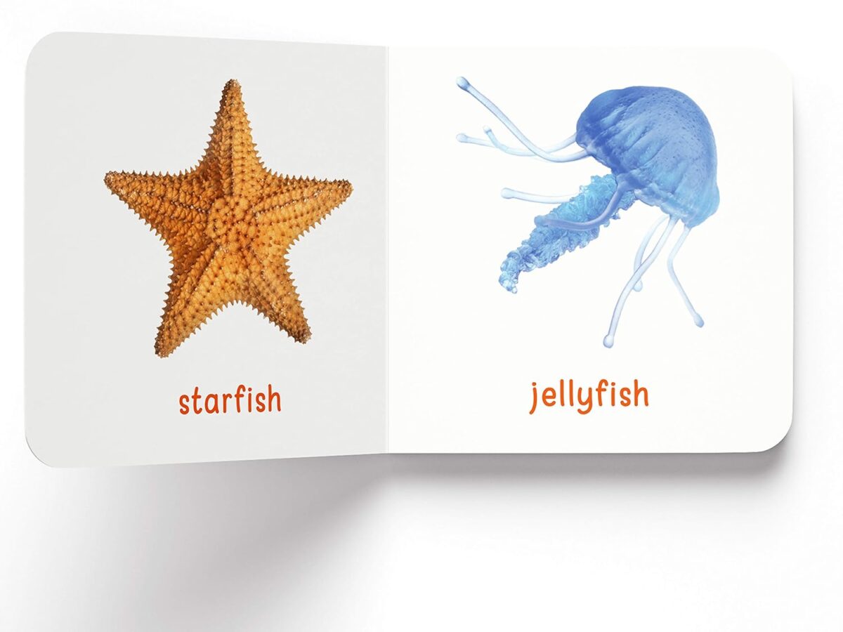 My First Library: Boxset of 10 Board Books for Kids - Image 17