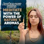 Palo Santo Smudging Sticks (Approx 240 Grams|8 Oz) from Peru -100% Natural Incense, Premium High Resin for Spiritual Cleansing-Substantially Hand-Picked Ethically Wild Harvested-Sustainable Packaging - Image 8