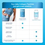 Vital Proteins Bovine Colostrum Supplement 90 Capsules for Gut Health, Immune Support with 40% IgG Premium Bovine Colostrum Superfood, Unflavored, 30 Servings - Image 3