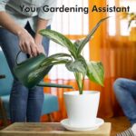 Watering Can for Indoor Outdoor Plants, Modern Small Watering Cans with Removable Nozzle, Long Spout Watering Can for Indoor Bonsai Plants Garden Flowers 1/2 Gallon 1.8L 60OZ (Dark Green) - Image 3