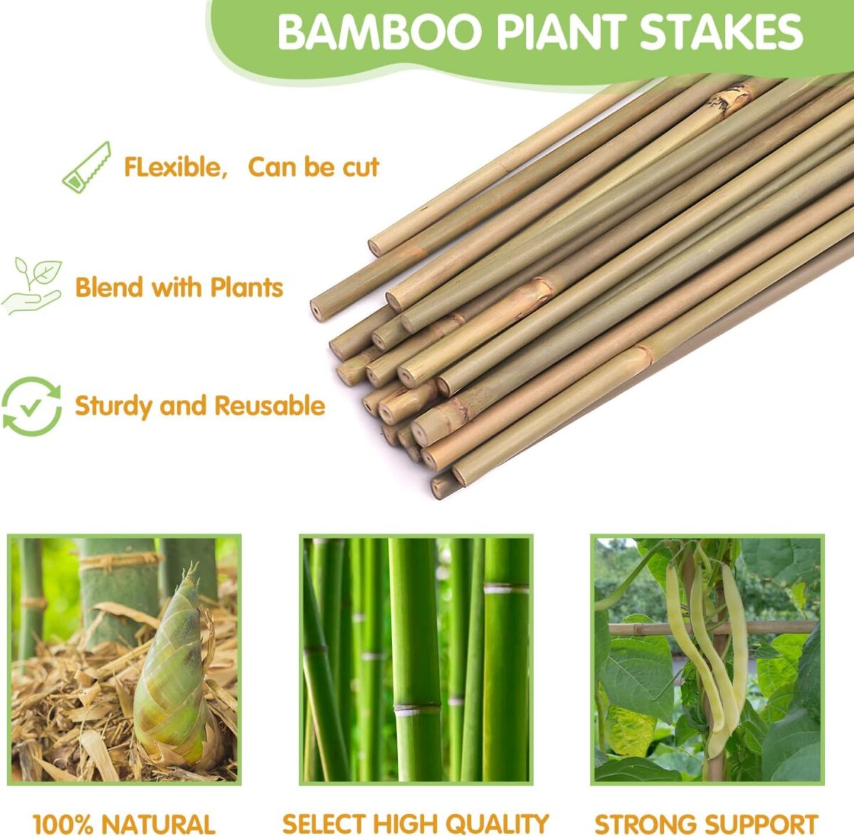 Plant Stakes,4FT Longer Sturdy Natural Bamboo Garden Stakes,GAGINANG 25Pcs Bamboo Sticks Trellis Support for Tomato, Vegetables Beans Trees Climbing Plants - Image 4