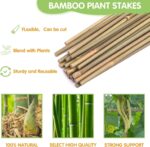 Plant Stakes,4FT Longer Sturdy Natural Bamboo Garden Stakes,GAGINANG 25Pcs Bamboo Sticks Trellis Support for Tomato, Vegetables Beans Trees Climbing Plants - Image 4