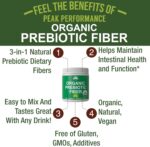 Organic Prebiotic Fiber 3-in-1 Vegan Powder for Gut Health. USDA Organic Raw Whole Food Plant Based Prebiotics Digestive Supplement with Organic Inulin (Jerusalem Artichoke), Acacia Fibers, SunFiber - Image 2
