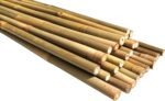 Natural Bamboo Poles, Eco-Friendly Plant Support Garden Stakes 4ft Long, Diameter of 3/8" (25-Count)