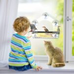 Clear Window Bird Feeder with 5 Extra Strong Suction Cups, DY-SKTY Sturdy and Durable Acrylic Bird Feeders for Viewing Wild Bird Outside, as a Bird Watching Gift, Outdoor Bird Feeder, and Garden Decor - Image 6