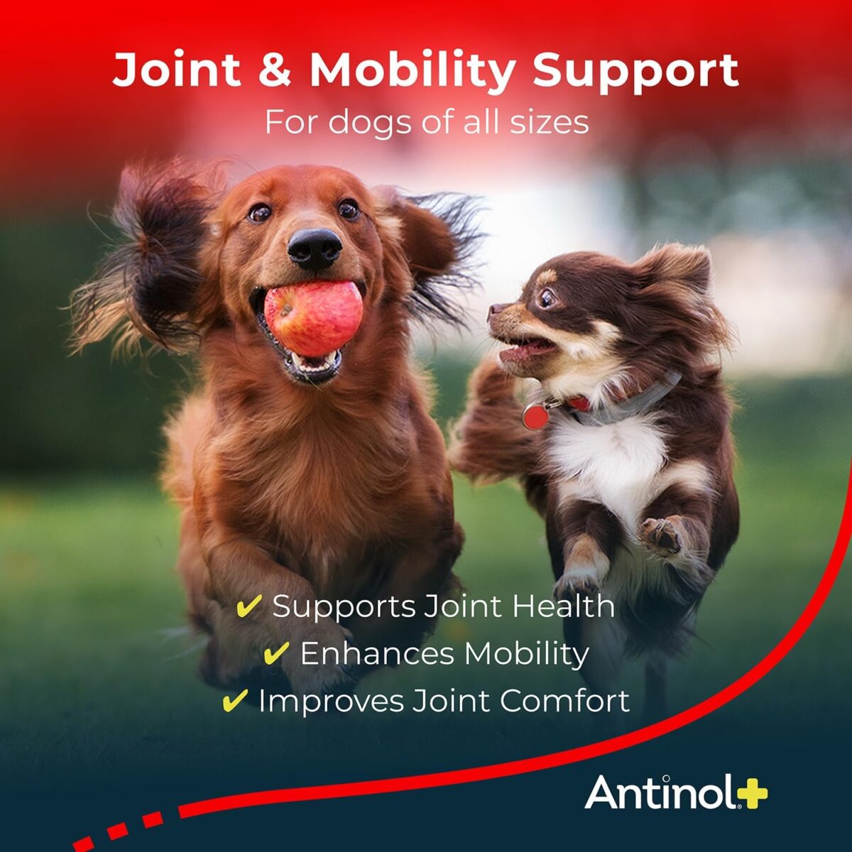 Plus, Mobility, Hip, and Joint Supplement for Dogs, Green-Lipped Mussels and Krill Oil - Dog Joint Supplement, Better and Faster Than Glucosamine and Chondroitin, 120 Soft Gels - Image 2