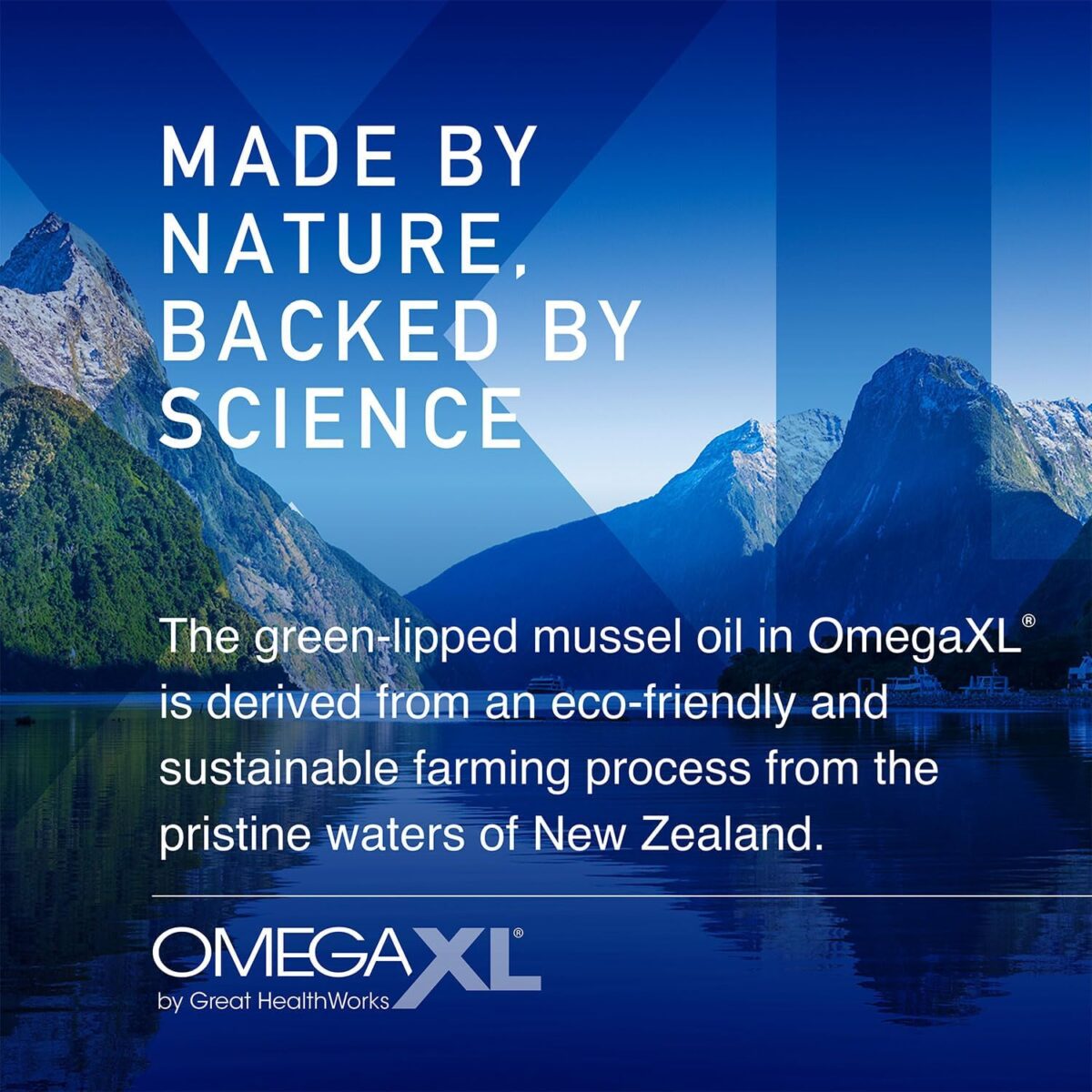OmegaXL Joint Support Supplement, for Relief - Natural Muscle Support, Green Lipped Mussel Oil, Soft Gel Pills, Drug-Free, 60 Count - Image 6