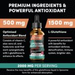 2000MG Liposomal Glutathione Liquid Drops, Enhanced Absorption, Glutathione Supplement, with Vitamin C, Hyaluronic Acid & L-Glutathione, Antioxidant Supplement - Liver Detox, Radiant Skin, 4.05 OZ - Image 5