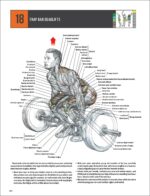 Strength Training Anatomy - Image 6