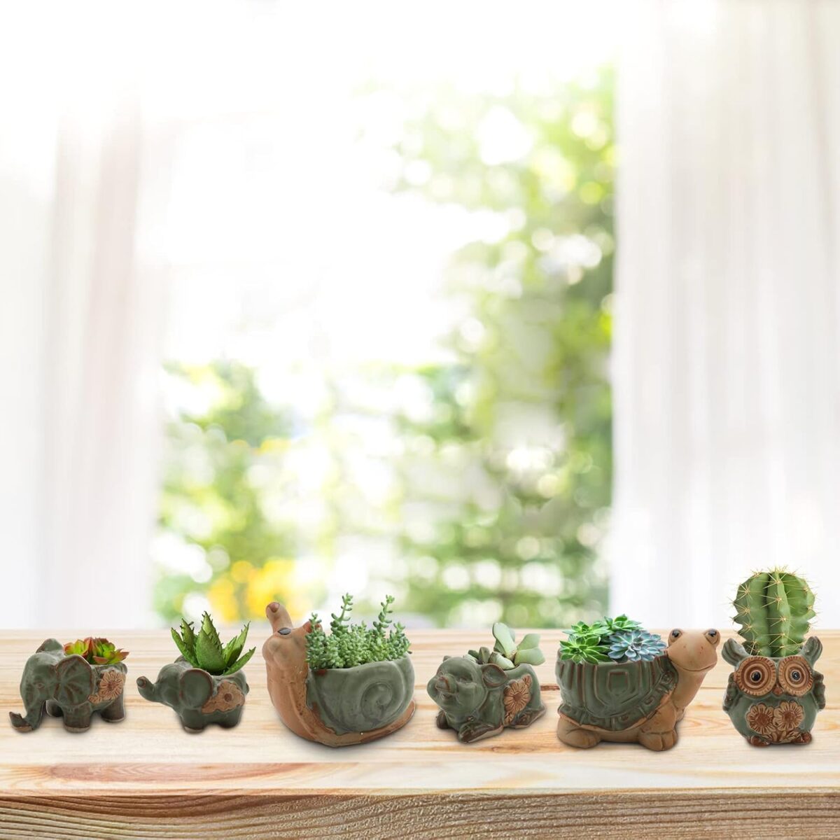 Okllen 6 Pack Mini Animal Ceramic Succulent Planter Set, Cute Elephant, Turtle, Owl, Snail, Succulent Pots with Drainage Hole, Ideal for Bonsai, Indoor, Outdoor - Image 6
