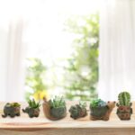 Okllen 6 Pack Mini Animal Ceramic Succulent Planter Set, Cute Elephant, Turtle, Owl, Snail, Succulent Pots with Drainage Hole, Ideal for Bonsai, Indoor, Outdoor - Image 6