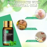 Tea Tree 20 Pcs Pure Essential Oil Gift Set, for Diffuser, Humidifiers, Skin Care, Massage, Fragrance Oil Scent for DIY Candle and Soap Making, Gift for Friend (5ML) - Image 5