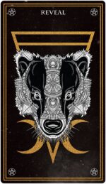 Wild Mystic Oracle Card Deck: A 50-Card Deck and Guidebook - Image 4