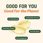 Vegan Omega 3 Algae Oil | Plant Based DHA EPA | Sustainably Sourced, No Carrageenan, Non GMO | Heart, Brain, and Eye Health | Fish Oil Alternative | Algae Omega 3 Supplement | 60 Softgel Capsules - Image 3
