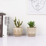 Gepege Succulent Pots, 4 Inch Small Indoor Ceramic Planter Pot with Drainage Holes and Saucers for Plants- Creamy White - Set of 4 - Image 8