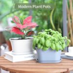Windowsill Herb Garden Planter with Tray, Set of 6 Grey Oval Farmhouse Garden Pots for Indoor/Outdoor Plants (No Seeds) - Image 8