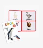 Early Learning Library: Box Set of 10 Books (Big Board Books) - Image 16